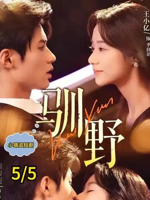 潮汐之下 都市情感剧在线观看